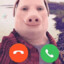 John Pork