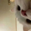 Christina_Zhang