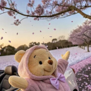 Twitch_莓莓莓莓籽