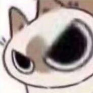 誰でも大好き(大和贴贴