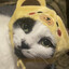 Eclipse's avatar