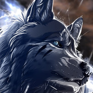 狼群中的雪橇犬