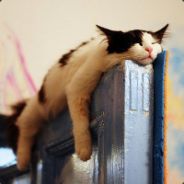 送起来自己也怕