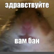 Markiz