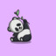 ILLUSIVE PANDA B&gt; DMARKET