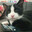 Cat on 3DS