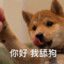 暖雨i