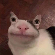 摩当劳只吃双鱼堡