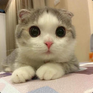 丫挺小分队老六