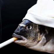 Smoking Fish