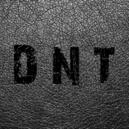 dnt - steam id 76561199688482782
