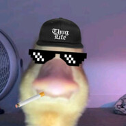 jaxzillito