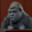 Ape Aursø