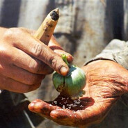 Freshcoelmolly - steam id 76561199845944022