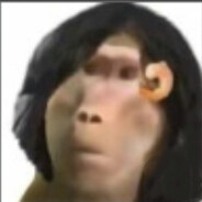 西伯利亚社恐母猴