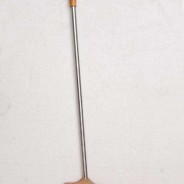 有涵养的小安琪