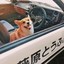 重案组之虎
