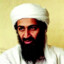 osama bean saladen