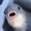 GWOORH
