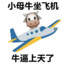 勇敢的小母牛