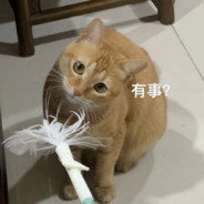 小沙碧(●'◡'●)