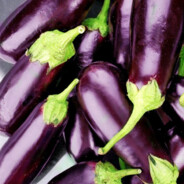 Eggplant