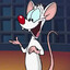 Avatar of player Pinky
