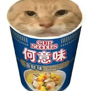 哈基米Cup noodle