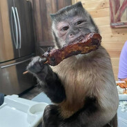 ChipaPiruu