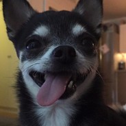 Heffalompa - steam id 76561197961880399
