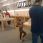 gay little monkey