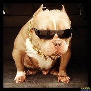 三生三世十里菊花