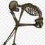 skeleton2009