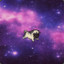 Galaxy