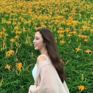 八月正午的陽光