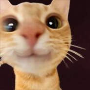 staec's avatar