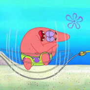 Falcons的Niko本人