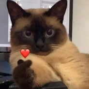 ВОДИТЕЛЬ ПО ГУБАМ <3