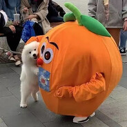 我不建议滑着走