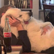 翻斗花园幼儿园