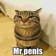 Mr Penis