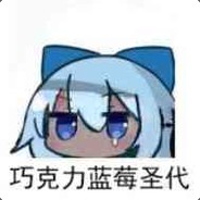 你们怎么一身⑨气啊