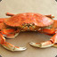 Crab®