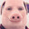 John Pork