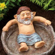Gnomin botli´n