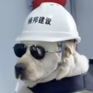 狗头爱玩儿游戏