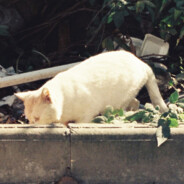 广深最值得交往肌肉0