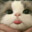 Arast