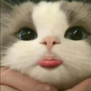 Arast