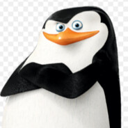 Skipper